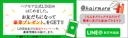 株式会社RAVIPA（代表取締役社長新井亨）が販売するヘアモアシリーズについて
