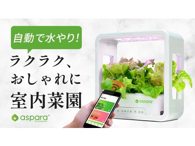 欧米で大ヒット 特許取得の家庭用水耕栽培キット アスパラガーデン ついに日本初上陸 水やり不要 アプリと連動でほっとくだけでグングン成長 企業リリース 日刊工業新聞 電子版