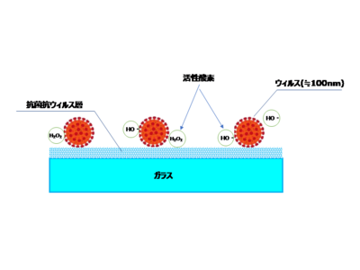 ゾル‐ゲル法によるガラスへの抗菌・抗ウイルスコーティングの開発に成功