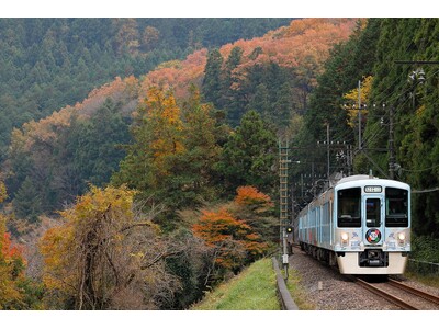 絶景の雲海＆星空鑑賞を目指す！『５２席の至福』車両で行く 秩父絶景ツアー開催！