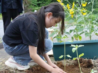津南醸造は、来場者とひまわりを植える植栽イベントを開催しました