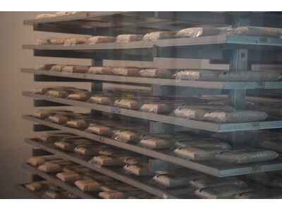 津南醸造の代表が、インドネシア「Kopti Rumah Tempe Indonesia」を表敬訪問しました