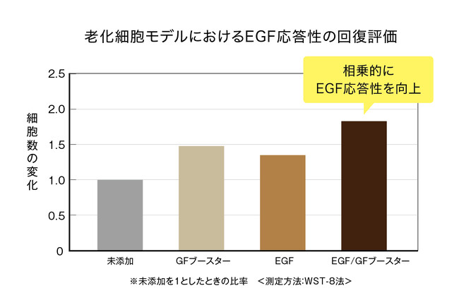 GF(成長因子)研究に新たな一歩 ―エイジング肌*¹において、GFブースターとの相乗作用により、EGFの応答性を回復させる効果を確認
