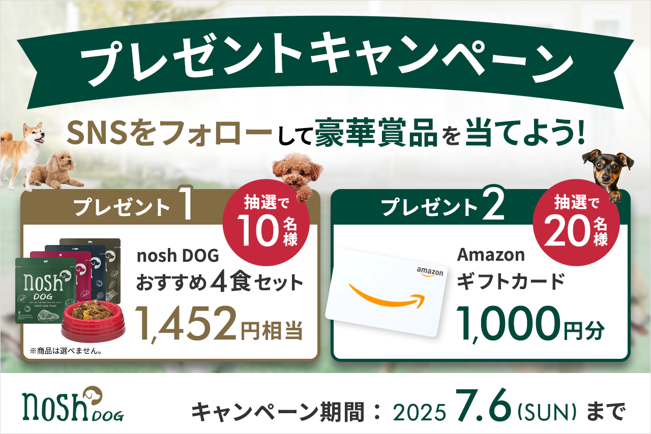 「nosh DOGおすすめ4食セット」または「Amazonギフトカード1,000円分」が当たるプレゼントキャンペーンを開催！