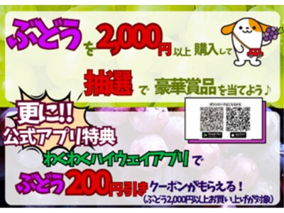 第2弾！！E20中央道　山梨県のSA・PAで「フルーツキャンペーン！ぶどう祭り！」を開催！