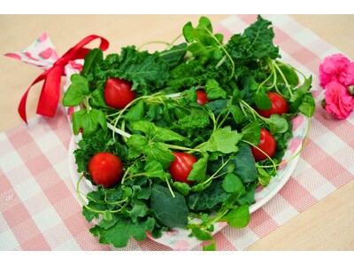 【母の日限定】きらきらベジ ケールを使用した“食べられるサラダブーケ”発売