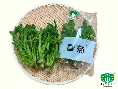 きらきらベジ新商品発売のお知らせ「春菊・水菜」～安心・安全、そして一年中おいしい～