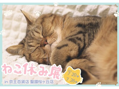 「ねこ休み展」を聖蹟桜ヶ丘店で初開催