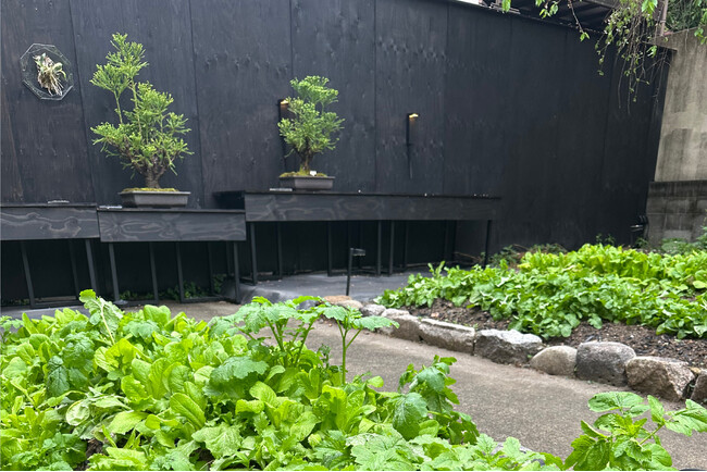 【調進所 紀ノ國屋 京町家・初開催】モニター無料受講生募集！植物から学ぶ。お洒落で美味しい暮らし方。プラント＋養成講座(R)