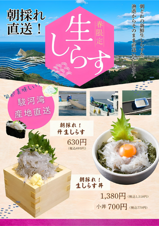 【群馬で味わう海の幸】美喜仁館高崎店・太田店・桐生店で、　　　駿河湾から“朝採れ直送”の「生しらす」フェアを開催中！