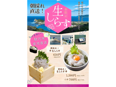【群馬で味わう海の幸】美喜仁館高崎店・太田店・桐生店で、　　　駿河湾から“朝採れ直送”の「生しらす」フェアを開催中！