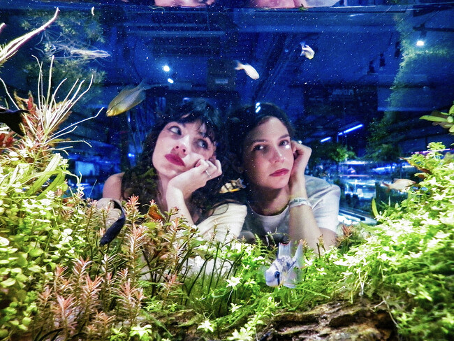 プレスリリース「アルゼンチン発のインディーロックデュオPACIFICA（パシフィカ）ニューシングル「Fixer Upper」をリリース、同時にMVを公開」のイメージ画像