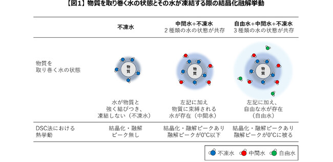肌の水分状態を評価する新手法を開発 ＜第35回 国際化粧品技術者会連盟（IFSCC）世界大会において共創研究成果を発表＞