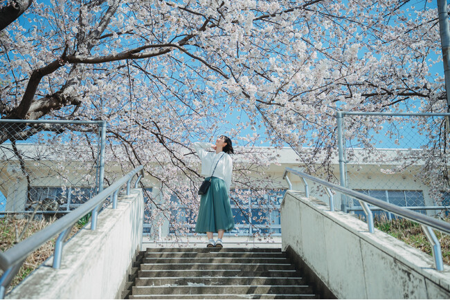 プレスリリース「【企画連載 Vol.1】あわら色｜写真家 tomosaki が切り取る 10 の情景」のイメージ画像
