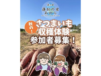 【福井県最北端の道の駅が主催】秋の味覚満喫！「さつまいも収穫体験」開催決定のお知らせ【あわら市】