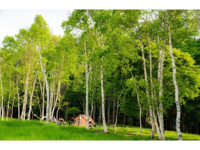 【HUNTER MOUNTAIN CAMPING PARK】 5 サイト限定「プレミアムキャンプエリア」...