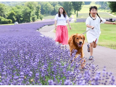 愛犬と過ごせる高原リゾート「たんばらラベンダーパーク」 命をつなぐプロジェクト「おツナがり」とコラボ