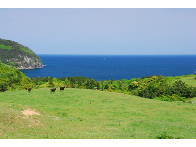 離島百貨店で「隠岐の島町フェア」開催！
