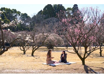 今年は愛犬と一緒に楽しめる！春の彩り豊かな食材を使用した豪華な梅見弁当が登場！1日15食限定「梅のピクニックBOX」2月8日より販売開始