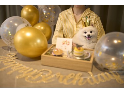 1日2組限定・お部屋のデコレーション＆ケーキを無料でご案内！愛犬と泊まれる宿「Dear Wan Spa Garden」初春キャンペーン
