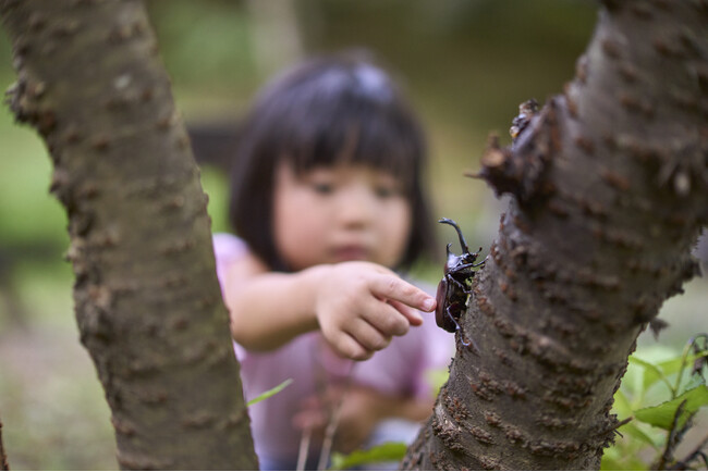 夏休みは親子で昆虫の世界へ！7月26日（土）ご宿泊限定昆虫採集ツアー付きグランピングBBQプラン「昆虫博士とカブトムシ探検隊」販売開始