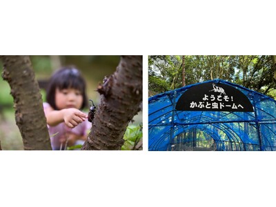 夏休み限定体験プログラム「昆虫博士とカブトムシ探検隊」開催＆「かぶと虫ドーム」夏季限定オープン