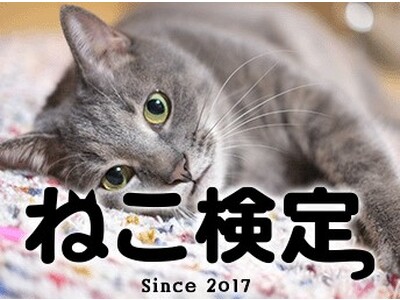 2万人以上が受験した“ねこ知識の祭典”「ねこ検定」2024年3月に全国一斉開催！～猫と人との社会問題に取り組む俳優・川上麻衣子さんも熱烈応援～