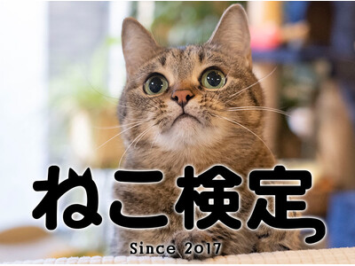 のべ3万人以上が「猫の気持ちをより理解できるようになった」ねこ検定、2026年3月に全国一斉開催！