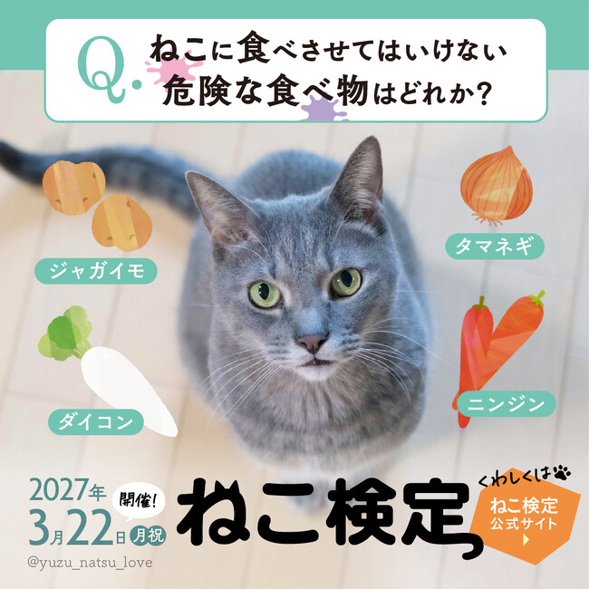 約４万人が受験した世界最大級の猫知識専門検定「ねこ検定」、10年目の節目となる第10回試験を2027年3月に全国一斉開催。