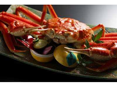 金沢犀川温泉「滝亭」、和倉の被災活魚水槽を再生　冬は活ガニ会席、通年で里海体験を提供