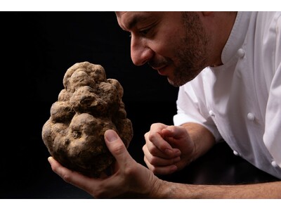 イル・リストランテ ルカ・ファンティンに歴史的な白トリュフが到着！約1.5キログラム（1.462kg）の希少なイタリアの宝石