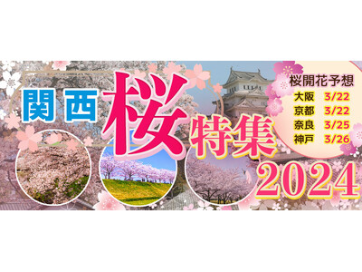 ３月２４日～４月７日限定！お一人様￥4,980-　春季限定水都大阪の定番お花見クルーズ　大川さくらクルー...