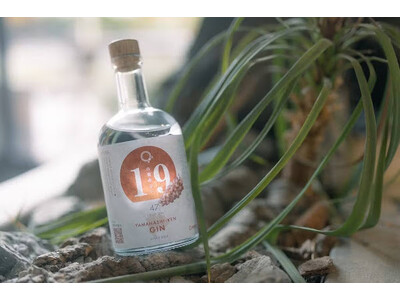 甲州ぶどうを使った「山梨県ジン by agataJapan」CAMPFIREにて先行販売プロジェクト開始