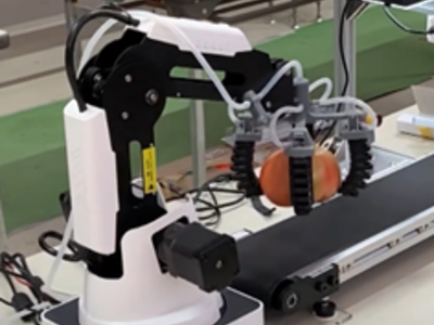 GRIPSとライトカフェ、小型ロボットとAIを活用したトマトの自動仕分けシステムの実証実験を実施 
