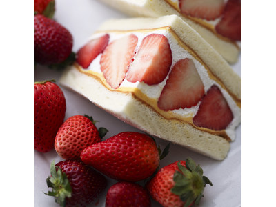 【パティスリー キハチ】キハチ特製フルーツサンドに、プレミアムな苺バージョンが新登場！ふわふわの真っ白な生地で、スカイベリー、真紅の美鈴、桃薫、3種の苺をサンド