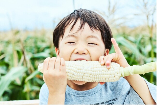 【即完売の“とうもろこし狩り”参加枠拡大で2025年も開催】京都舞コーン狩りで『夏の、最旬体験。』