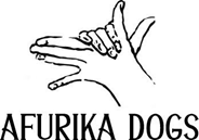 【AFURIKA DOGS×PAIKAJI】タイアップイベントをホテルアンテルーム那覇にて開催