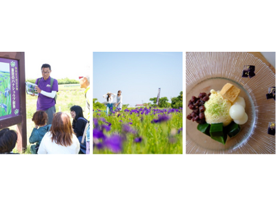 初夏限定！花の都「斎宮」を巡るノハナショウブ満喫ツアーの販売を開始いたします