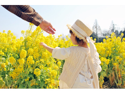 【大分県豊後高田市】長崎鼻の菜の花を味わい尽くす2つのプランを、3月2日（月）より販売開始