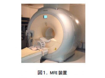 資生堂、化粧品に対する気持ちの変化を脳科学研究で解明　～大切なパートナーに対する脳活動との共通性を確認～