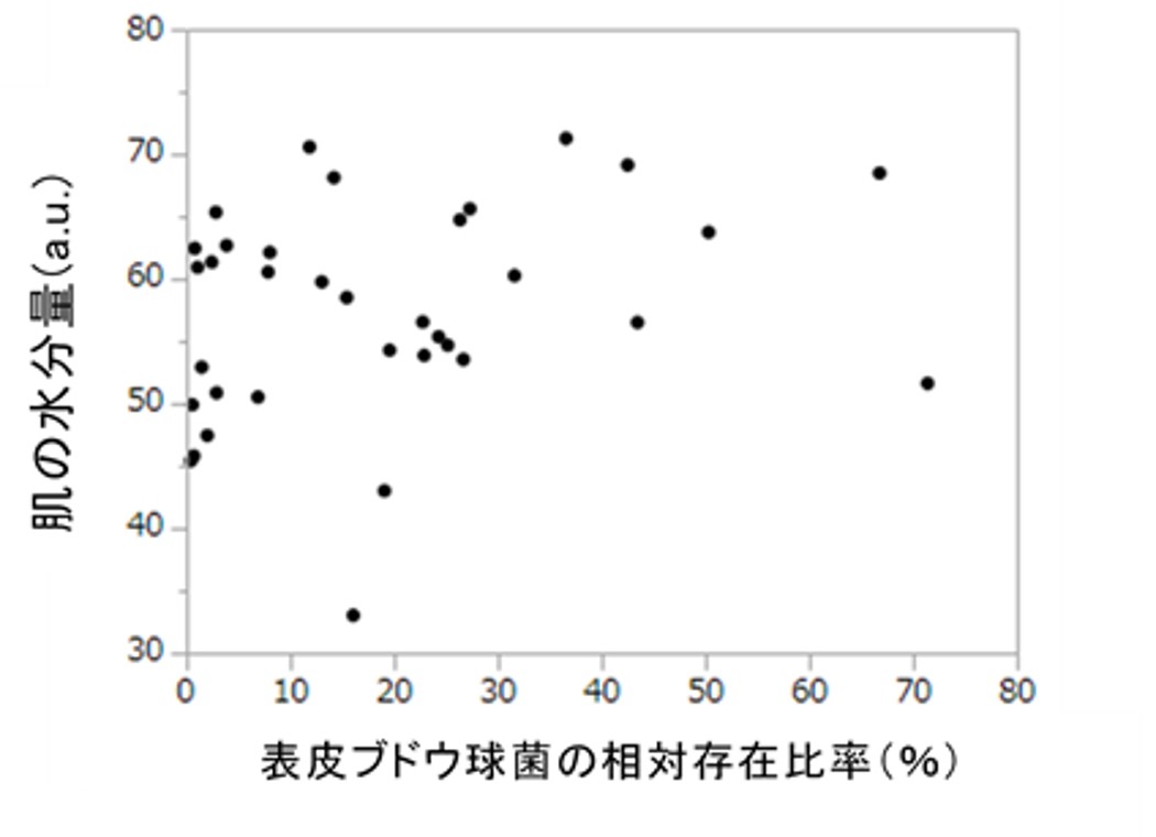 資生堂、敏感肌では皮膚常在菌叢の多様性が低いことを発見　- 新規プレバイオティクス成分を配合した基剤が肌の水分量やキメを改善 –