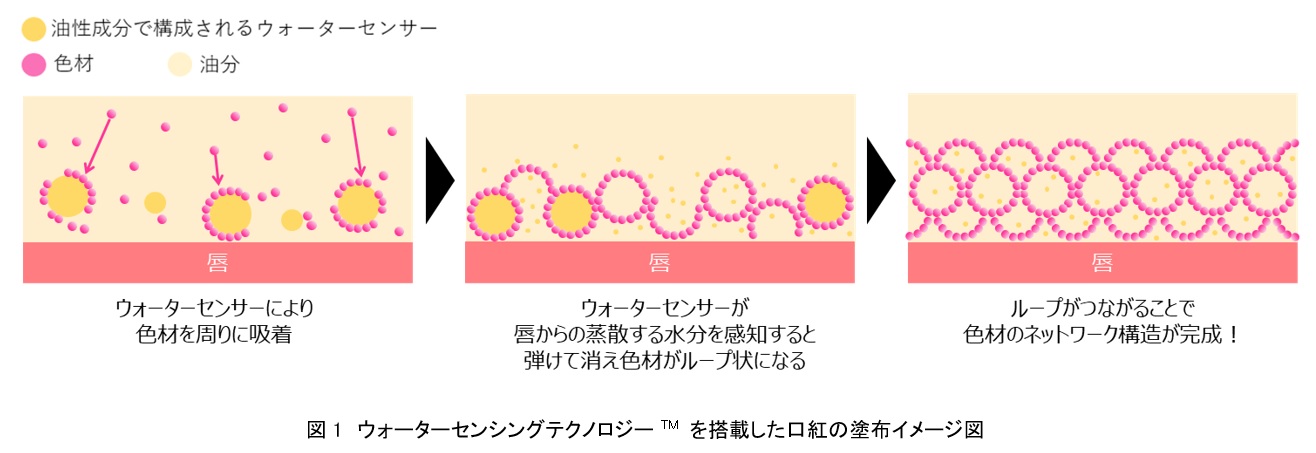 資生堂、色持ち・二次付着レス効果を実現する革新的技術「ウォーターセンシングテクノロジーTM」を開発　～なめらかで軽いつけ心地と高い色持ち効果の両方を叶える口紅～