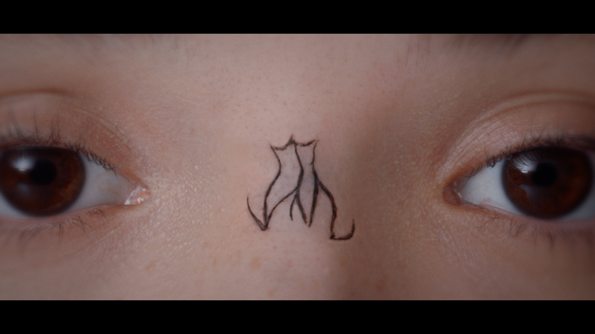 猫のように自分らしく。マジョリカ マジョルカが「猫の日」に全編手描きのアイライナーアニメーション「Draw your line」を公開。～2026年2月22日（日）正午公開～