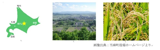 当麻町中心市街地活性化への起業人派遣についてのお知らせ