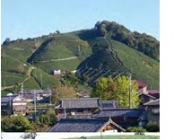 和束町「地域おこし協力隊募集・選考支援業務」受託に関するお知らせ