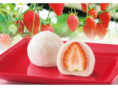 福岡の老舗和菓子屋「如水庵」2024年1月6日より『いちご大福』販売開始