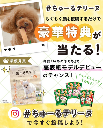 いなばペットフード　「#ちゅーるテリーヌ」みんなでもぐもぐ投稿キャンペーンをInstagramで開催中！