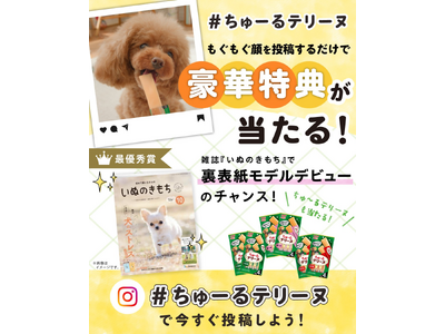 いなばペットフード　「#ちゅーるテリーヌ」みんなでもぐもぐ投稿キャンペーンをInstagramで開催中！