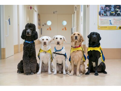 【2026年度研修生募集決定】介助犬等の育成に携わる職員を目指してみませんか？