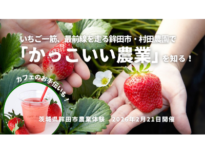 一流レストランも認めるいちごづくりの匠・村田農園（茨城県鉾田市）で「いちご収穫とカフェ運営」を体験